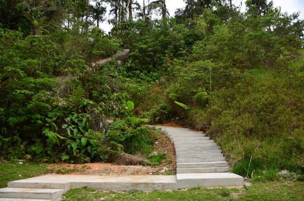 The Woodz Homestay 丹那拉打 外观 照片